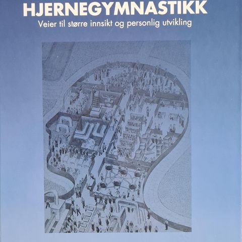 "Hjernegymnastikk" (Denis Postle) veier til innsikt og personlig utvikling.