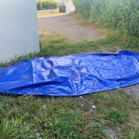 Annonsebilde