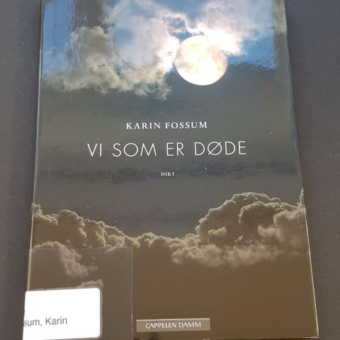 Vi som er døde av Karin Fossum