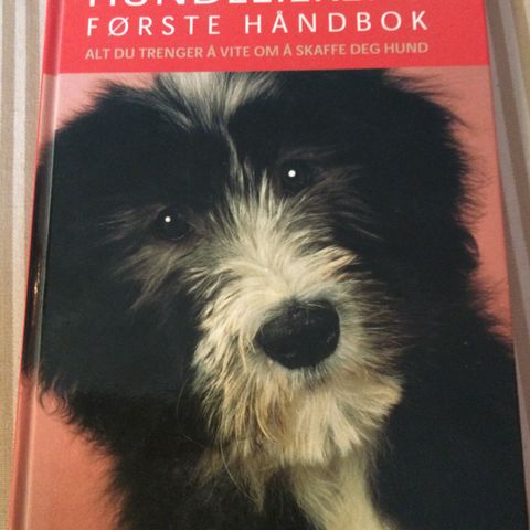 Hundeeierens første håndbok alt du trenger å vite om å skaffe deg hund