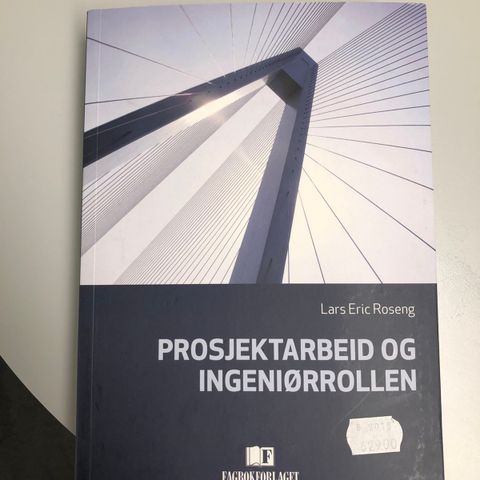 Prosjektarbeid og Ingeniørrollen - Lars Eric Roseng