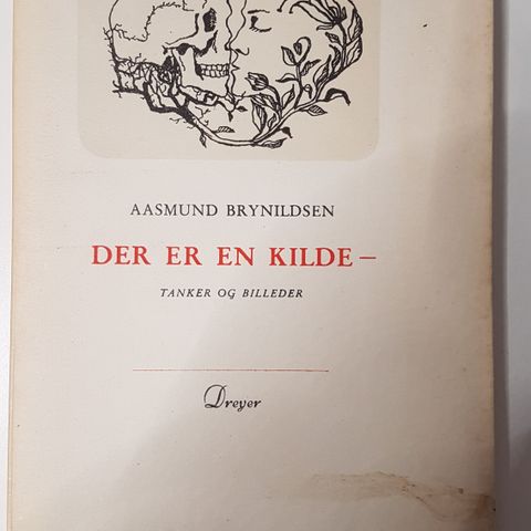 aasmund brynildsen -der er en kilde