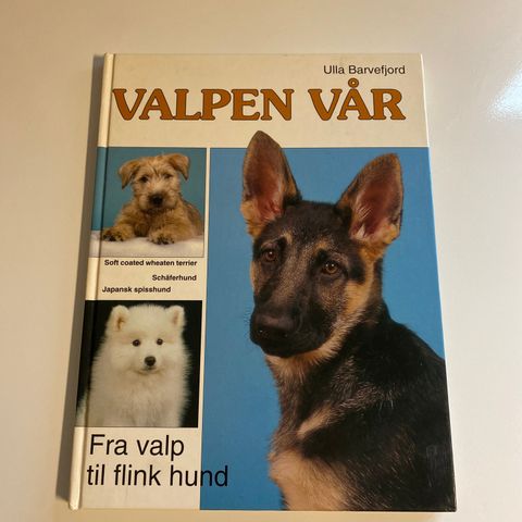 Valpen vår