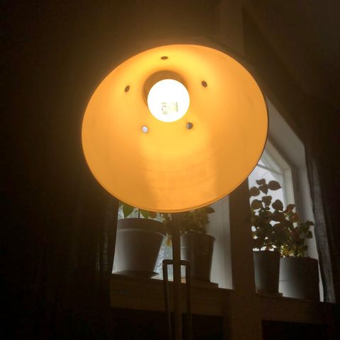 Big Office Lamp