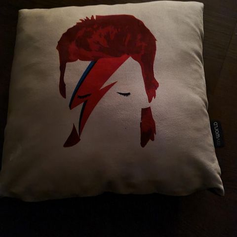 Unik Ziggy Stardust pute