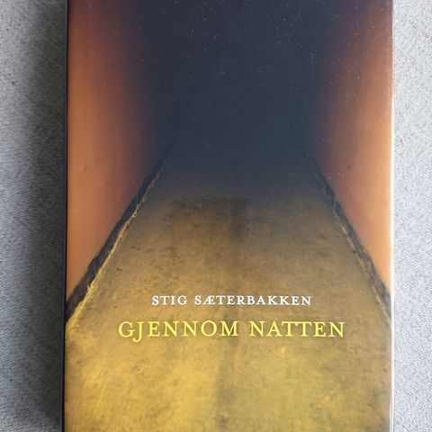 Gjennom natten av Stig Sæterbakken