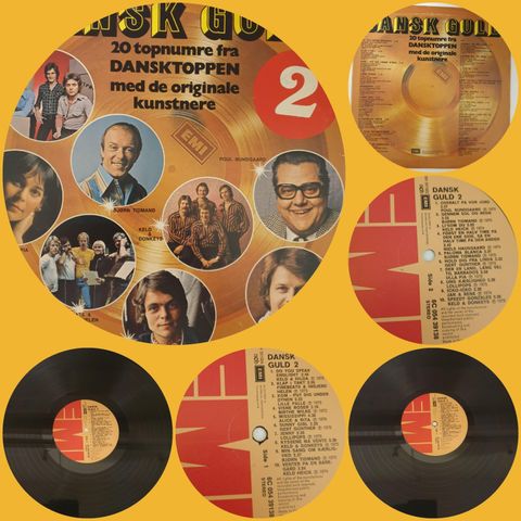 VINTAGE/RETRO LP-VINYL "DANSK GULD 2 "