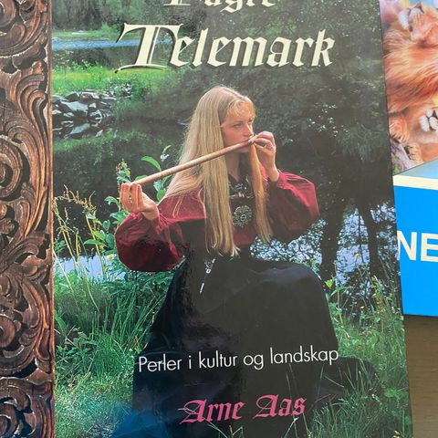Fagre  Telemark av Arne Aas