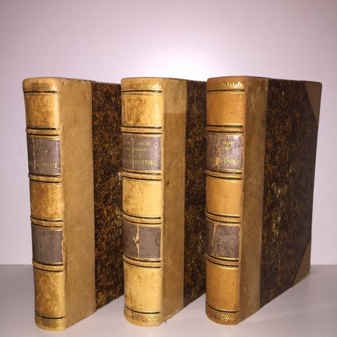 Illustreret norsk literaturhistorie I-II i 3 bind - Henrik Jæger. 1896