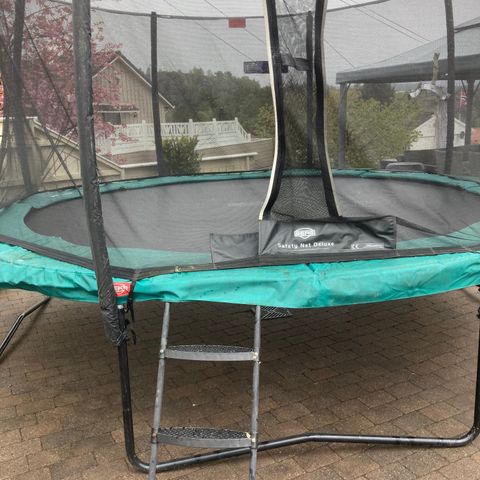 Berg Champion trampoline