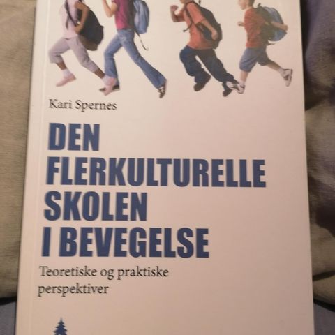 Den flerkulturelle skolen i bevegelse