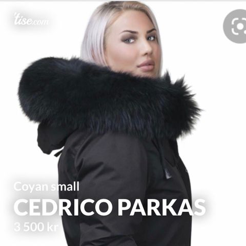 cedrico Coyan Parkas Small