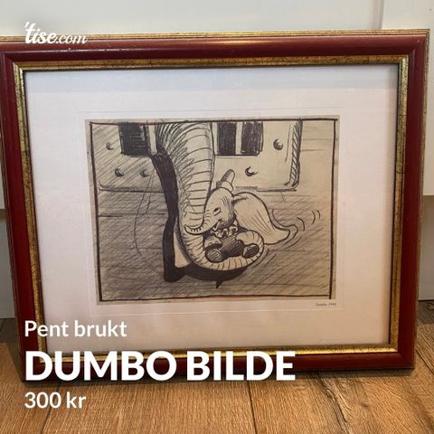 Dumbo Bilde