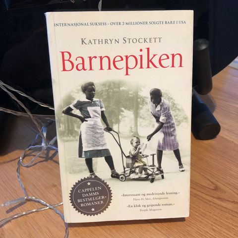 POCKETBOK: «Barnepiken» Kathryn Stockett