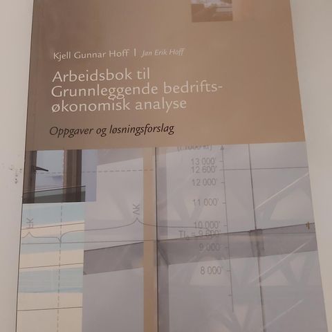 Arbeidsbok til grunnleggende bedriftsøkonomisk analyse