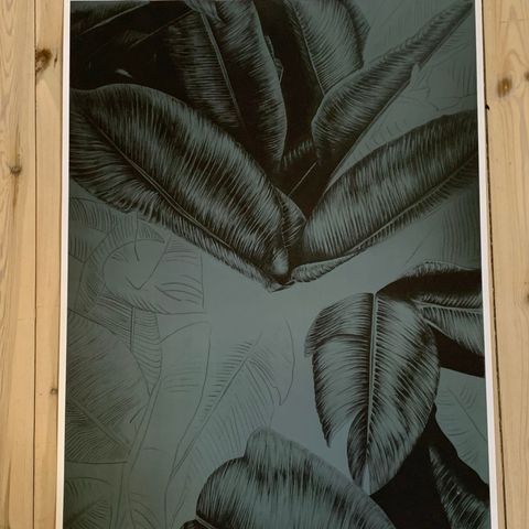 Poster/bilde/kunst fra Helene Egeland. Strek Oslo Palm