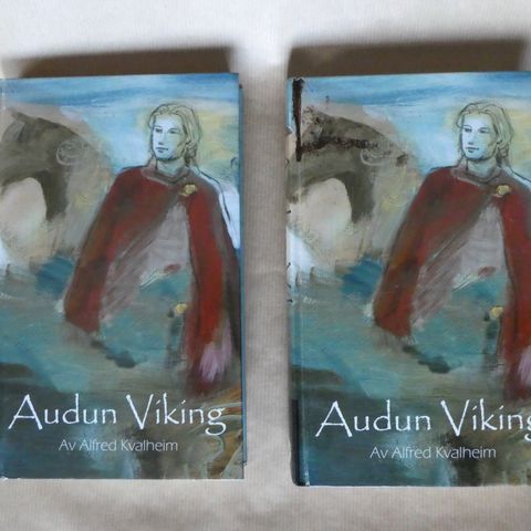 Audun Viking