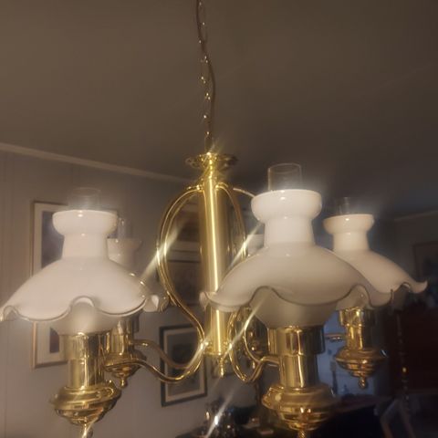 5 armet taklampe med glasskupler