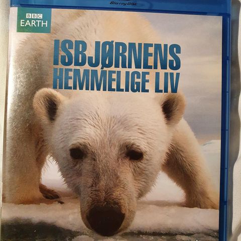 Isbjørnens hemmelige liv. Blu-Ray