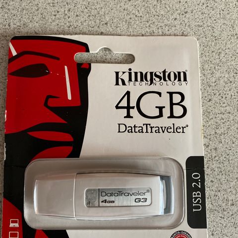 minnebrikke 4 GB