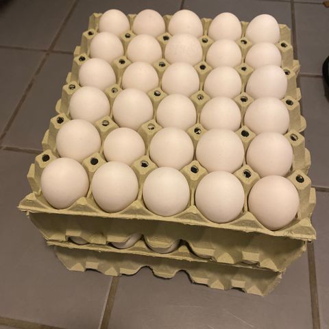 Ferske egg kjøres til døren din😊