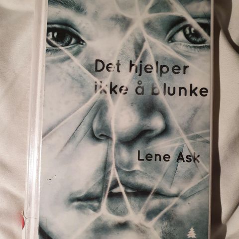 Det hjelper ikke å blunke - Lene Ask