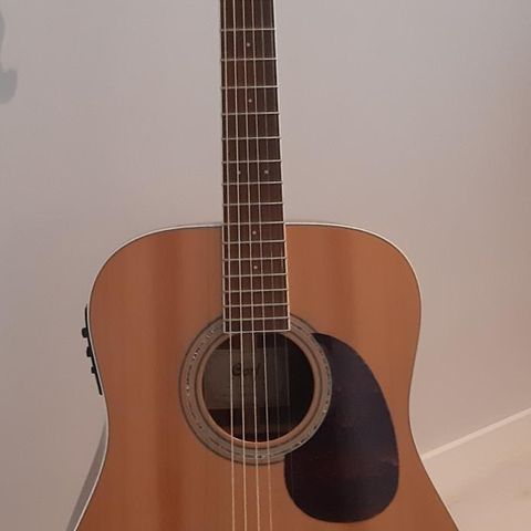 Cort 100F / pickup