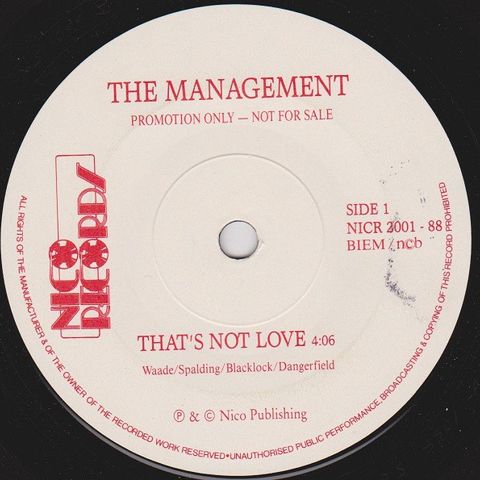 The Management promosingle (vinyl)