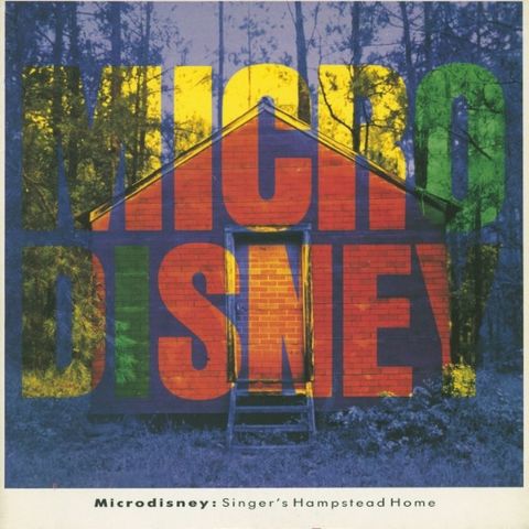 Microdisney-single (vinyl)