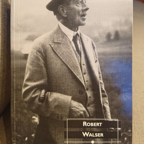 Røveren av Robert Walser