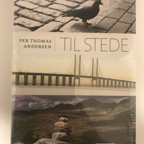 ”Til stede” av Per Thomas Andersen