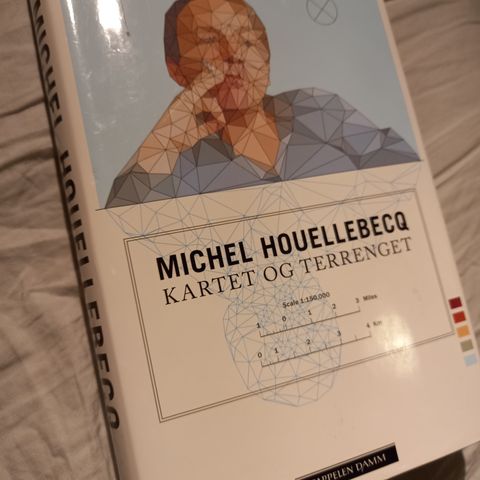 Kartet og terrenget av Michel Houellebecq