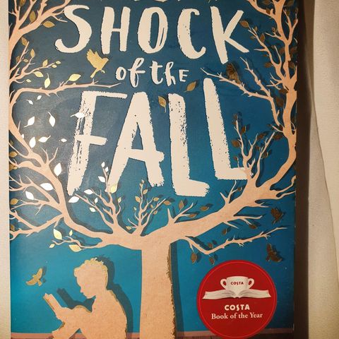 The shock of the fall - Nathan Filer