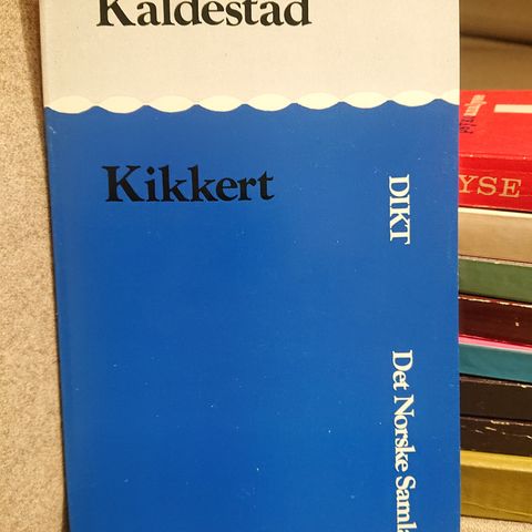 Kikkert av Per Olav Kaldestad