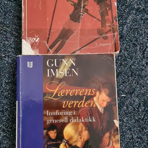 Pedagogikk Didaktikk og pedagogisk psykologi. Gunn Imsen.