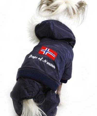 Dogs of norway hundedress, ubrukt