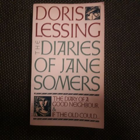 Doris Lessing - The Diaries of Jane Somers