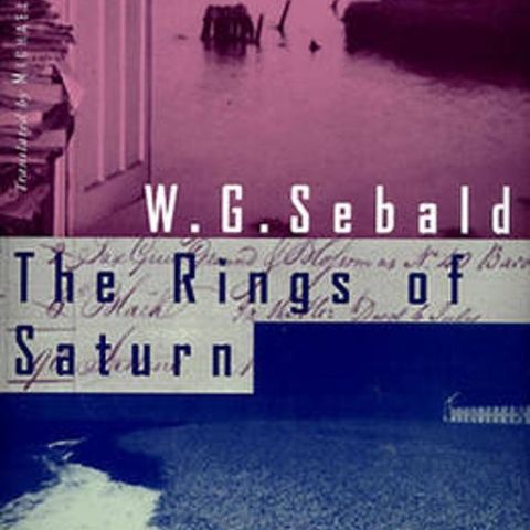 The rings of saturn av W. G. Sebald