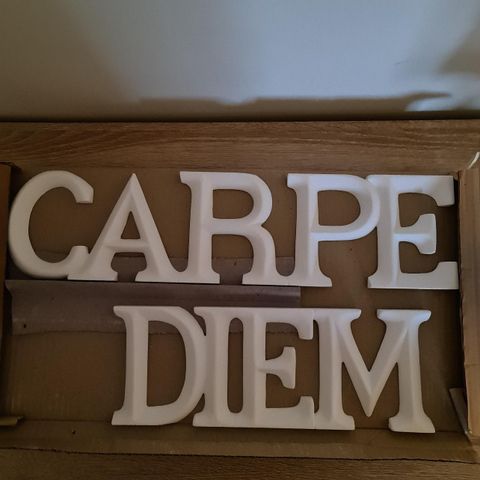 Words i gips. "Carpe diem". Ny pris!