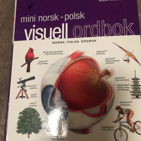 Visuell ordbok