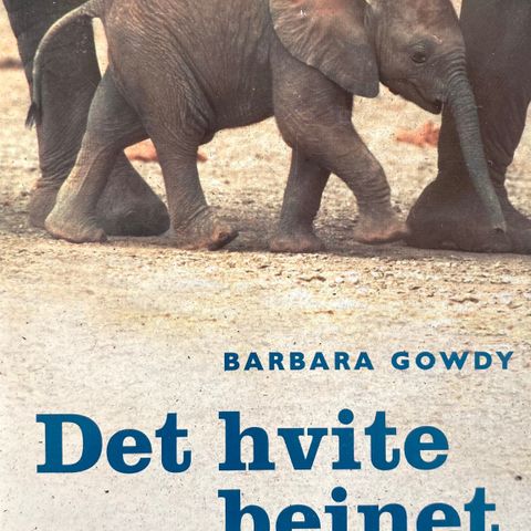 Det hvite beinet. En roman om elefanter. Barbara Gowdy