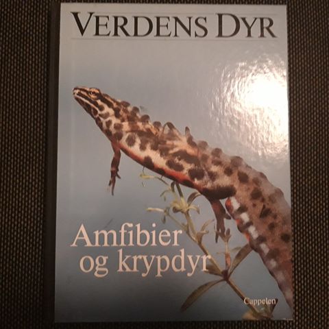 Verdens Dyr - Amfibier og krypdyr