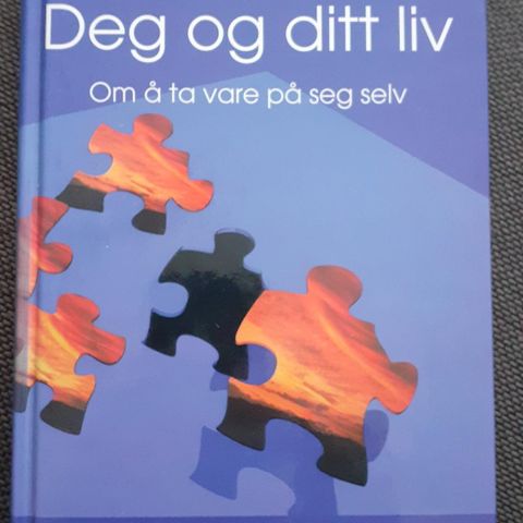 DEG OG DITT LIV - Om å ta vare på seg selv - Atle Roness. NY, IKKE LEST!