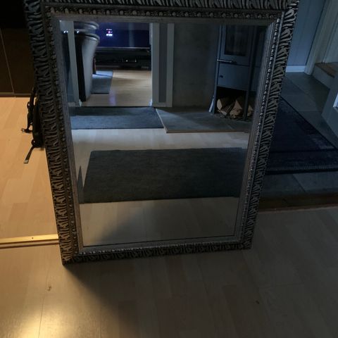 Sølv speil