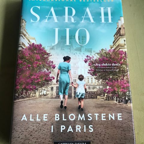 Roman - Alle blomstene i Paris