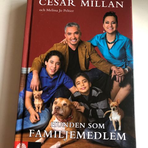 Cesar Millan-Hunden som familjemedlem