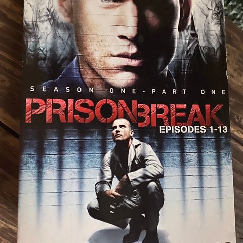 Prison Break part 1, season 1 - selges