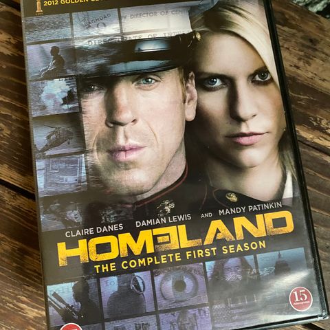 Nedsatt. Homeland Season 1