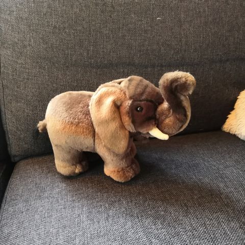 Elefant bamse