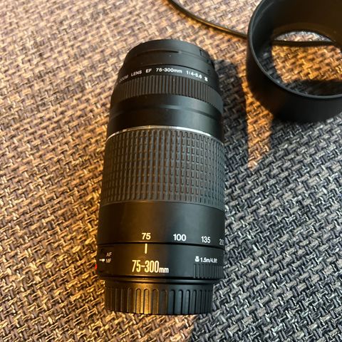 canon 75-300mm f/4-5,6